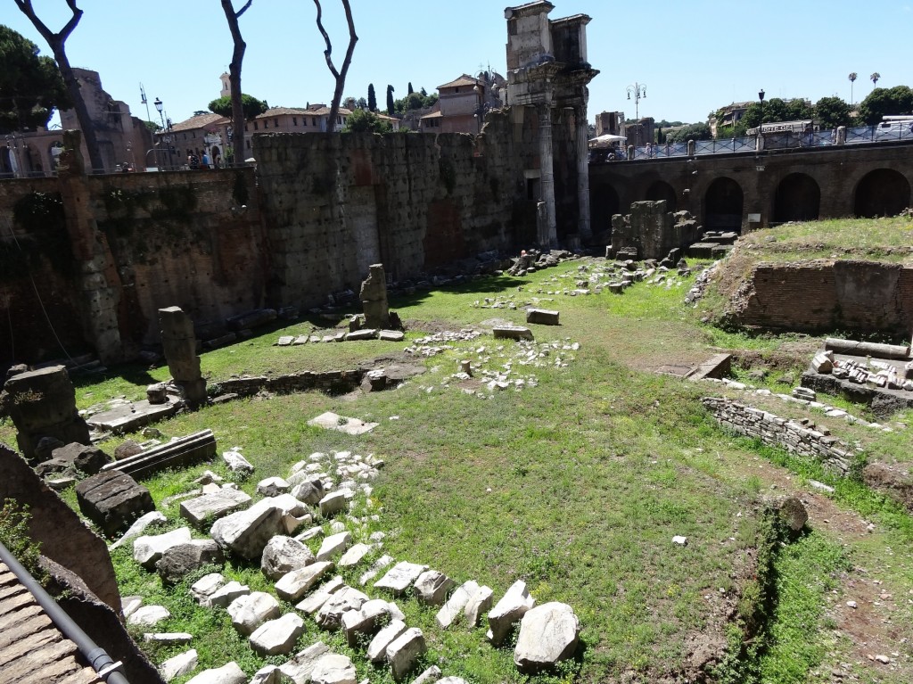 DSC03690